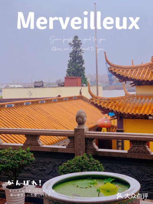 龙音寺图片