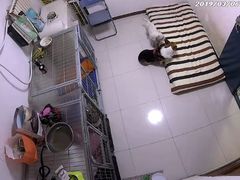 -波姐宠物家庭寄养