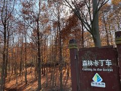 -上海海湾国家森林公园