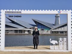 -盐城丹顶鹤湿地生态旅游区