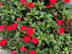 -人民公园(罗湖区)