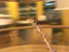 -碧露轩·大益茶体验馆(镇江路店)