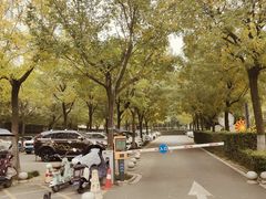 -西安市长乐公园