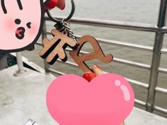 -武汉关码头(轮渡站)