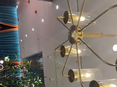 -刘胖子家常菜·蹄花焖藕(中南店)