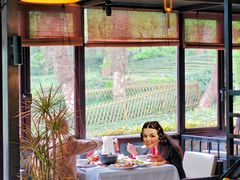 -野蔓果·山野菜(西湖景区·龙井茶田店)