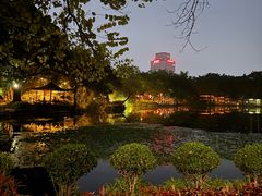 -荔湾湖公园