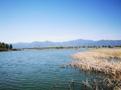 -野鸭湖国家湿地公园