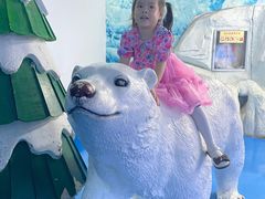 -泉城欧乐堡海洋极地世界