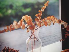 -Manner Coffee(大宁国际商业广场店)