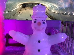 -世界之窗阿尔卑斯冰雪世界