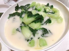 白菜仔-东富酒家(龙湖西溪天街店)
