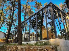 -竹上云想餐厅民宿