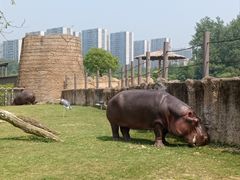-杭州野生动物世界