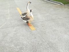 -福州大学(旗山校区)