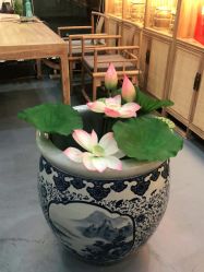 -东方凯丽·美容抗衰会所·菲比店