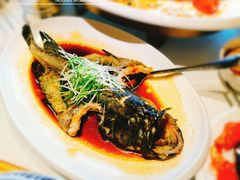 -鱼乐轩(珠江路店)