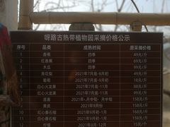 -呀路古热带植物园