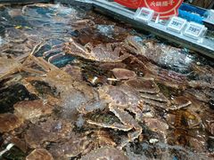 -紫荆广场·花漫里