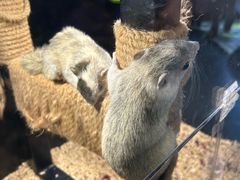 -太平洋海底世界