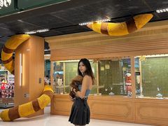 -帕帕拉兹宠物(亚洲旗舰店)