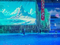 -华夏文旅海洋公园