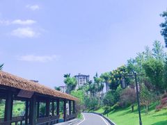 -枫香湖儿童公园