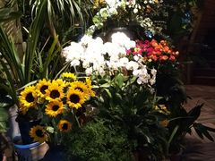 -春暖花开(西溪店)