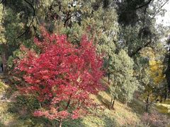 -香山公园-东宫门售票处
