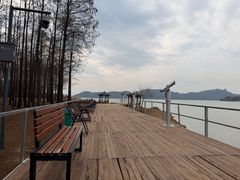 -东湖落雁景区