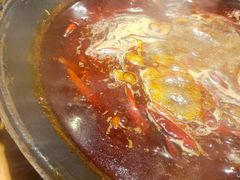 -阳阳老火锅(小南门店)