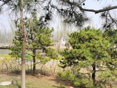 -东郊湿地公园