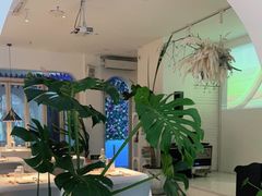 -春树下·树屋花房西餐厅(罍街AS1980店)