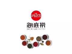 -海底捞火锅(让胡路万达店)