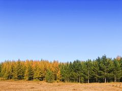 -塞罕坝国家级自然保护区