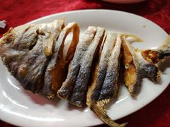 -蛇口康乐快餐鱼仔档(翠苑小区店)