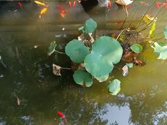 -万寿八仙宫