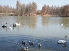 -宁波杭州湾国家湿地公园