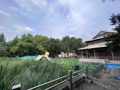 -保定市动物园