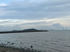 -宝安西湾红树林湿地公园