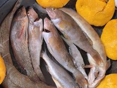 -宾朋海鲜饭庄(兴海路店)