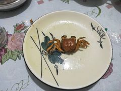 -金台阶鱼馆(于桥水库店)