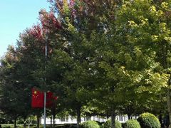 -财经大学学生公寓食堂