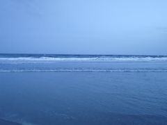 -源海渔村·现捞海鲜(大角湾店)