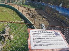 -西安秦岭野生动物园