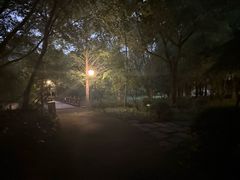 -尚贤河湿地