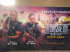 -嘉华国际影城(学清路店)