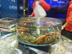 -骏莱海鲜鱼港(五角场店)