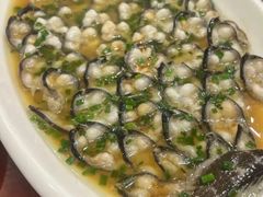 -呼吸森林·生态农庄农家乐私房菜