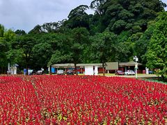 -广州市石门国家森林公园